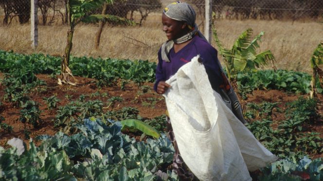 Donna agricoltura Tanzania