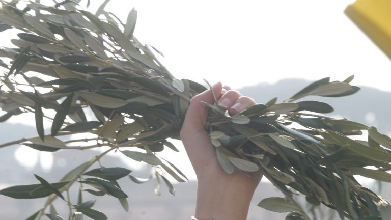 060406-014 060406-014