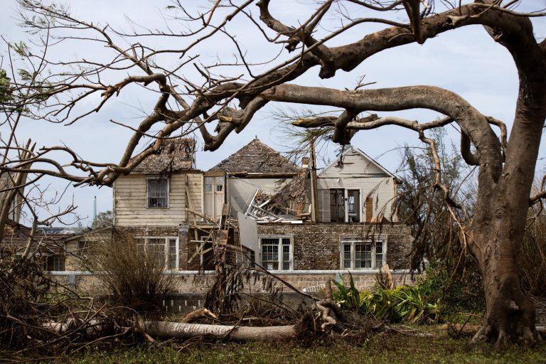 WhatsApp Image 2025-11-07 at 10.49.45 WhatsApp Image 2025-11-07 at 10.49.45